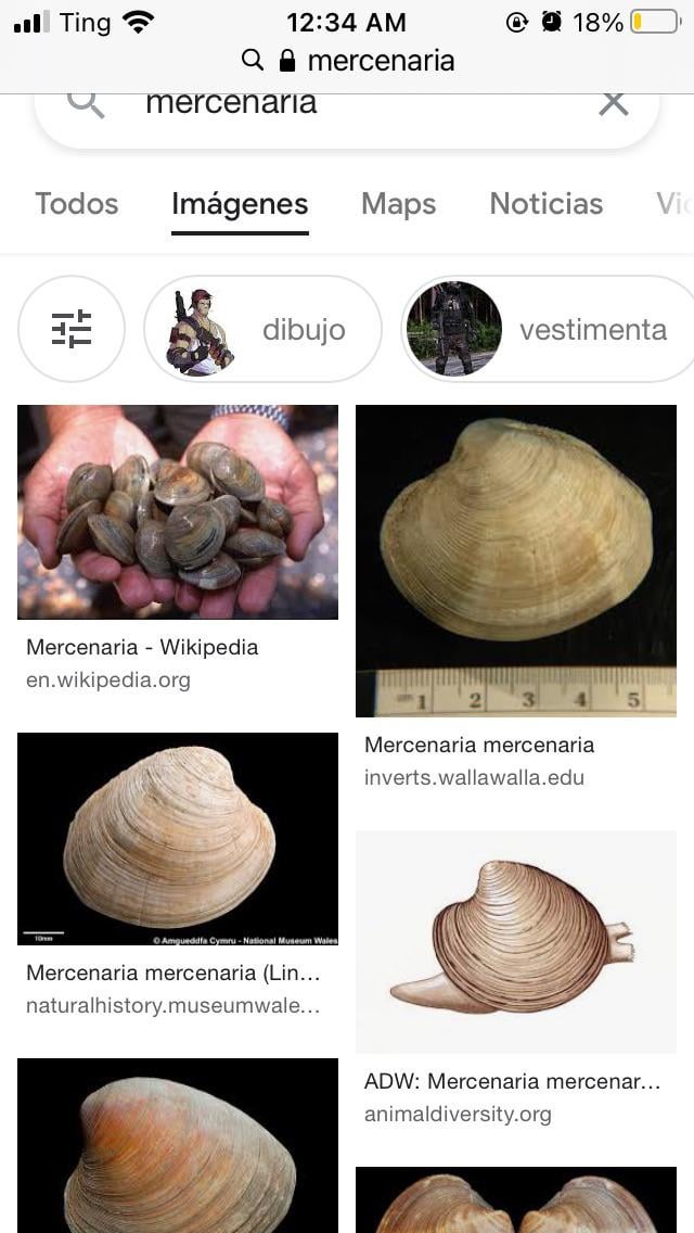 Post image preview