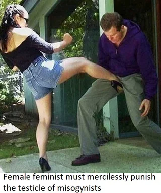 Post image preview